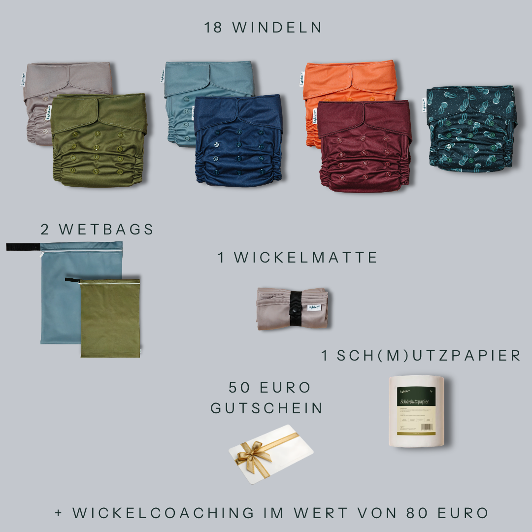 Basis Set - Bold Basics Gr2