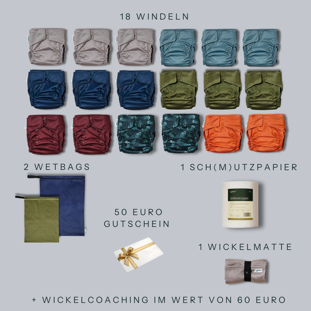 Basis Set - Bold Basics Gr1